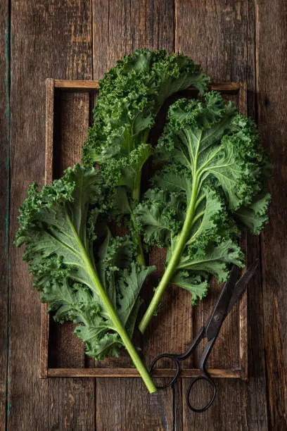 Green leafy vegetables