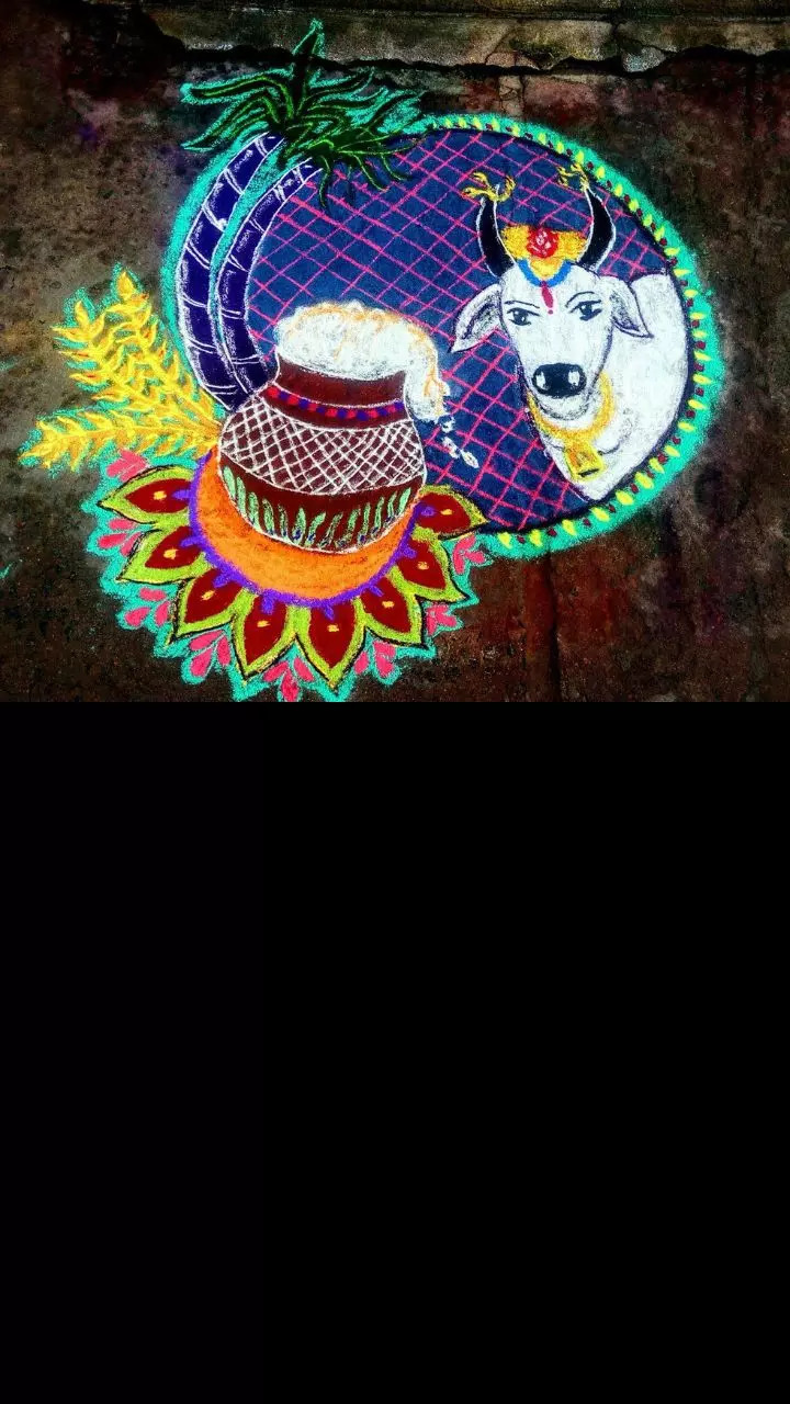 Cow and coconut trees on Kolam