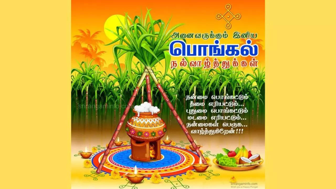 Happy Pongal 2023: Images with quotes in Tamil, HD photos and ...
