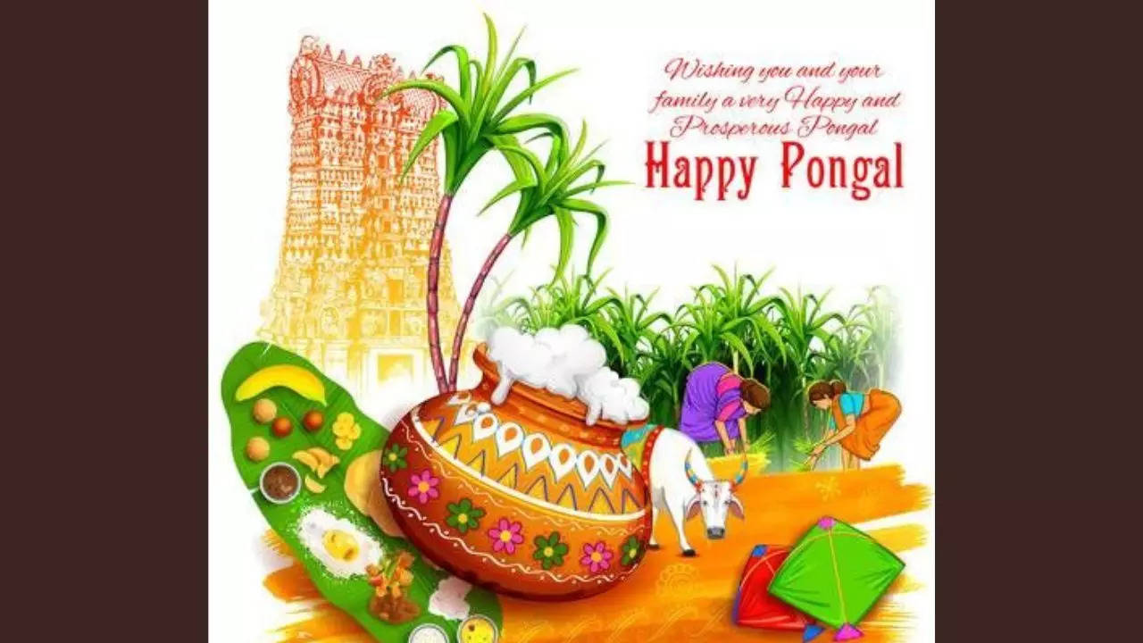 Happy Pongal 2023: Images with quotes in Tamil, HD photos and ...