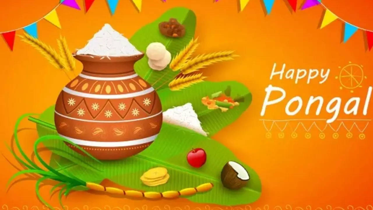 Happy Pongal 2023 wishes in Tamil