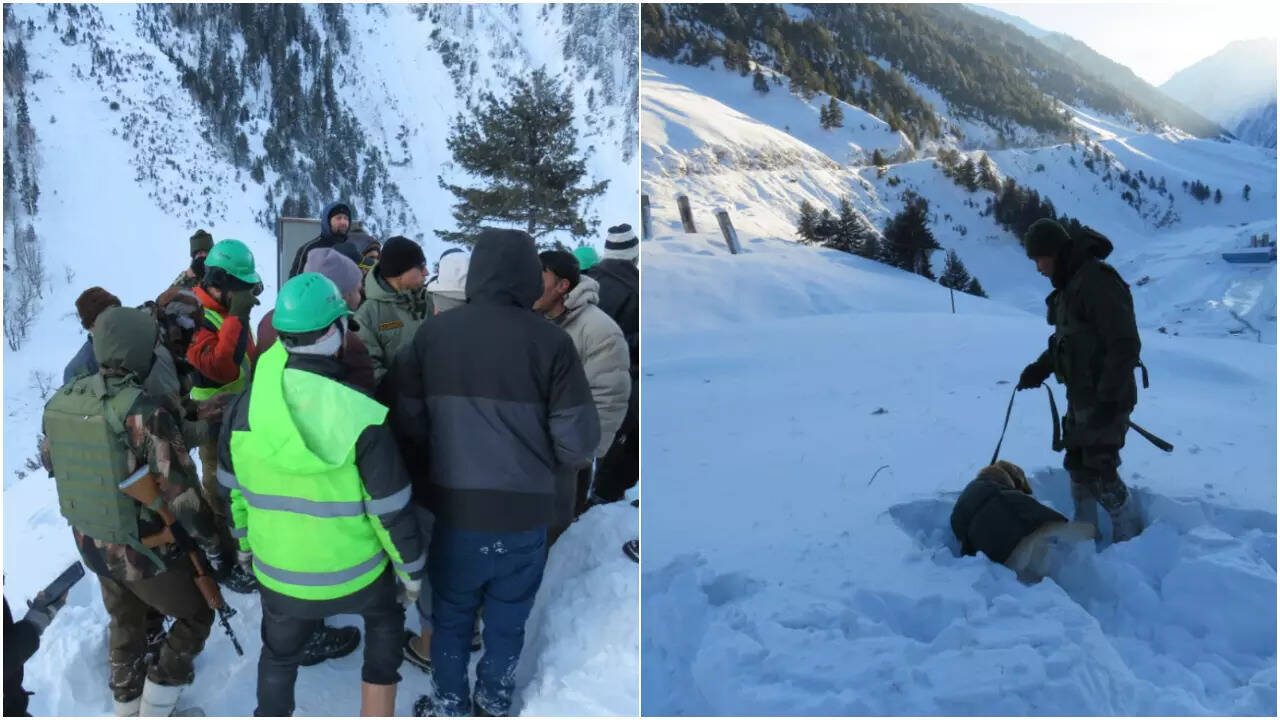 Indian Army rescues 172 workers stranded at Zojila Tunnel site in J&K's