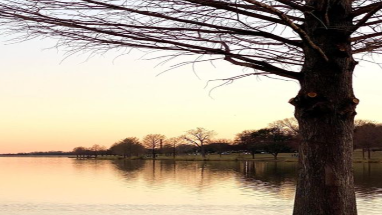 Happy Monday, Good Morning Images, Quotes, Messages on Japanese