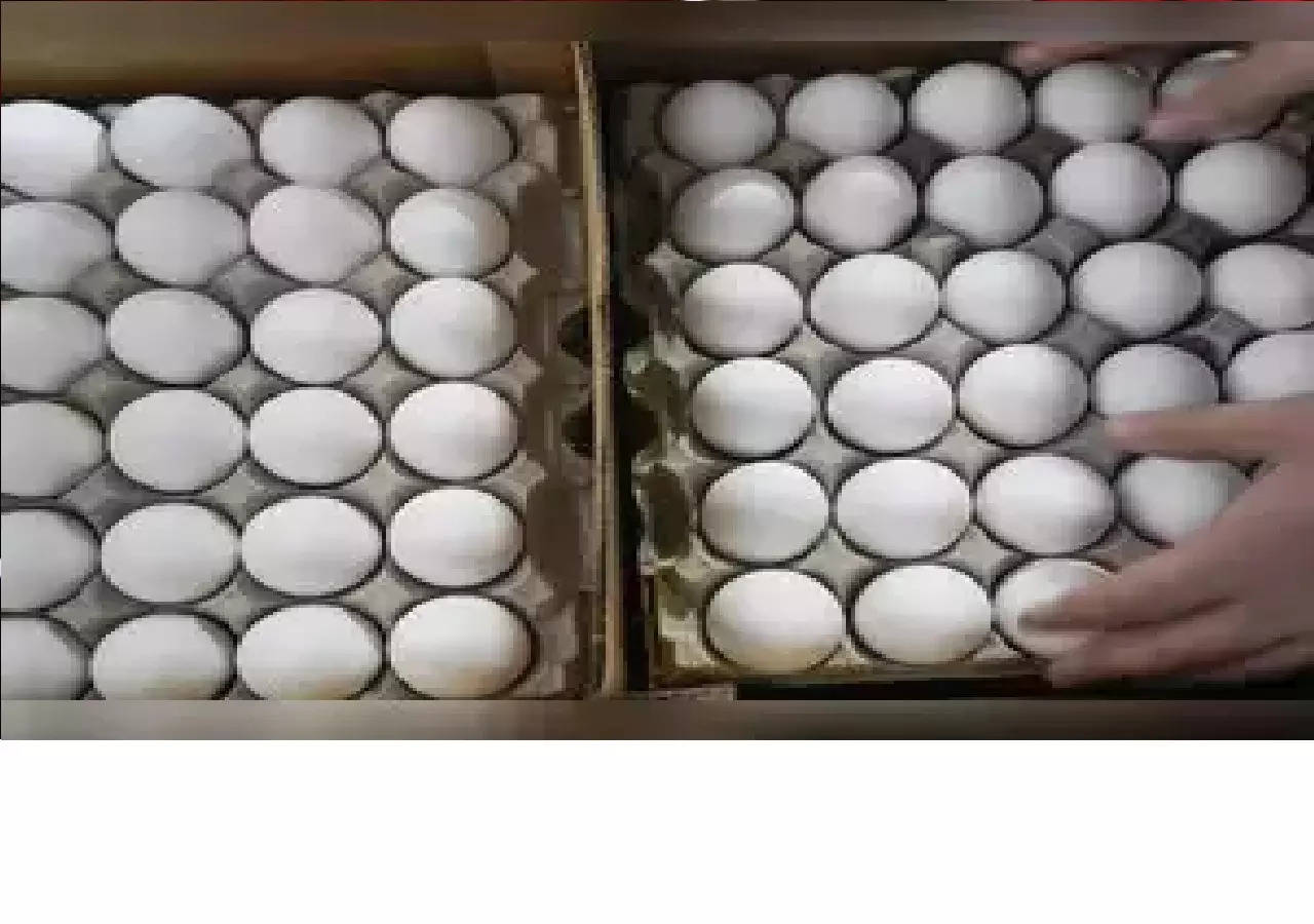 Egg shortage in Maharashtra: Here's how the state plans to resolve it
