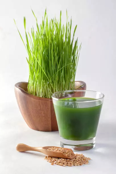 Wheatgrass juice