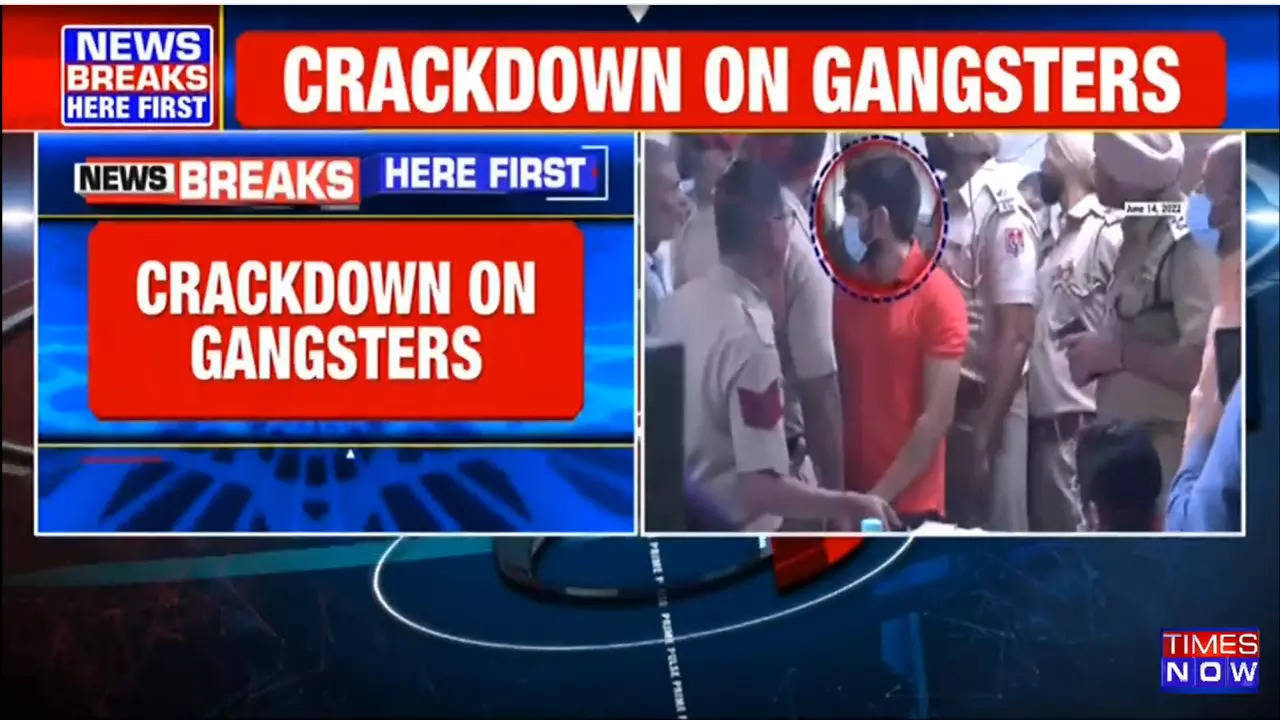 Punjab gangsters crackdown