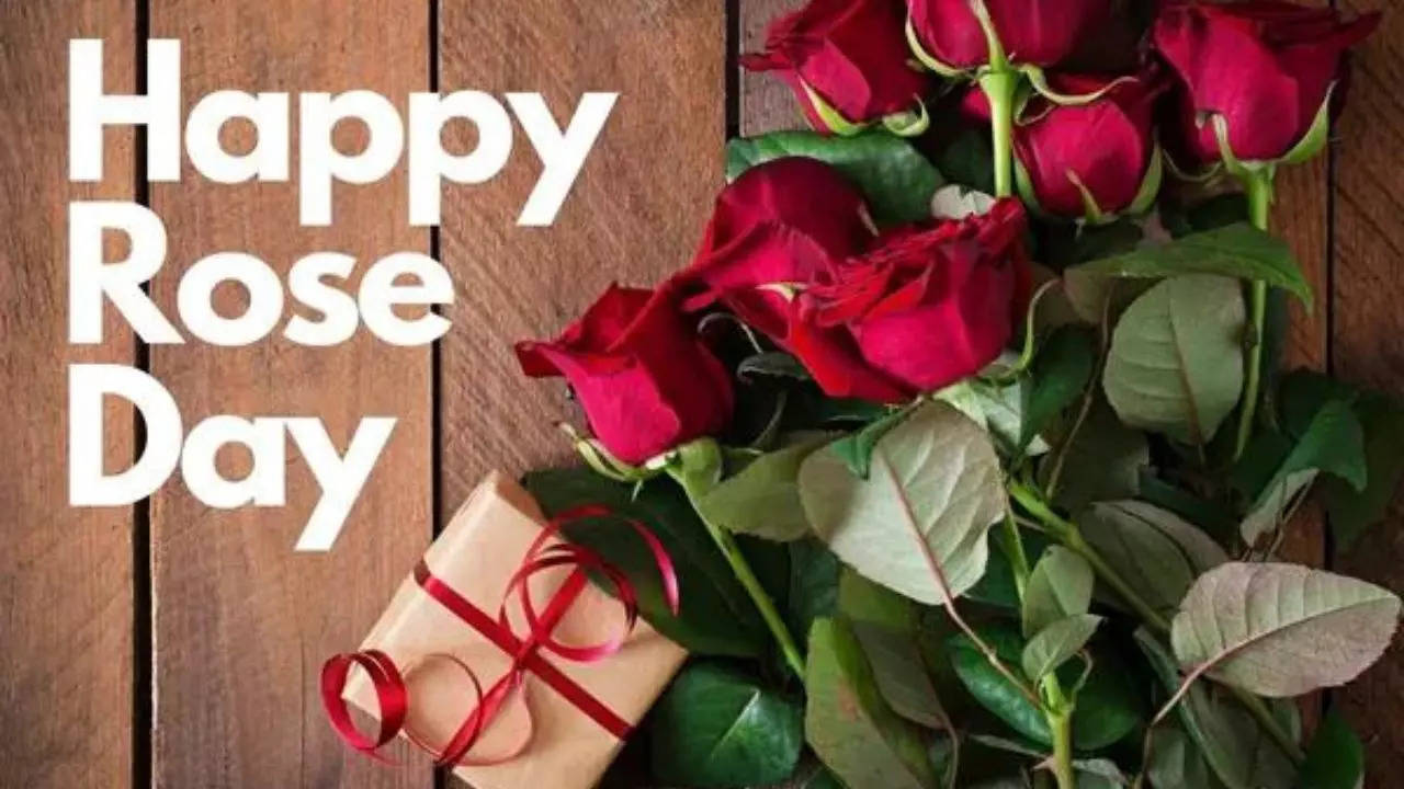 Happy Rose Day 2023: Wishes, images messages, quotes and WhatsApp ...