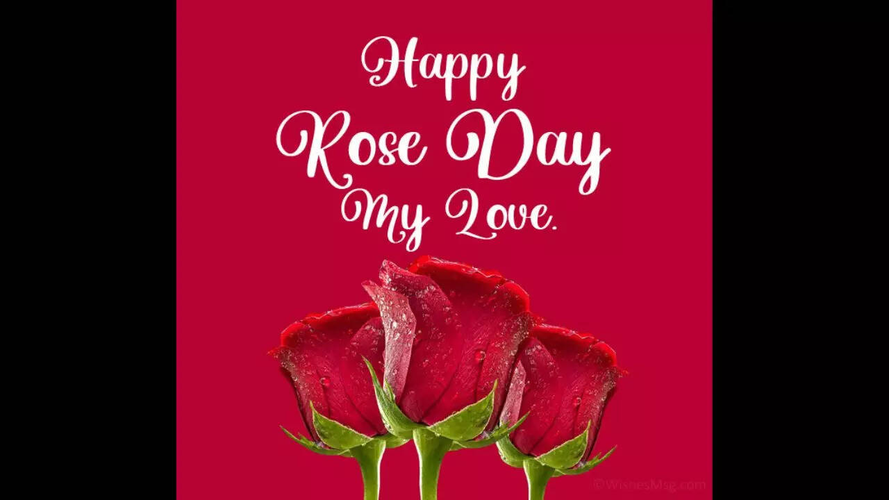 Happy Rose Day 2023: Wishes, images messages, quotes and WhatsApp ...