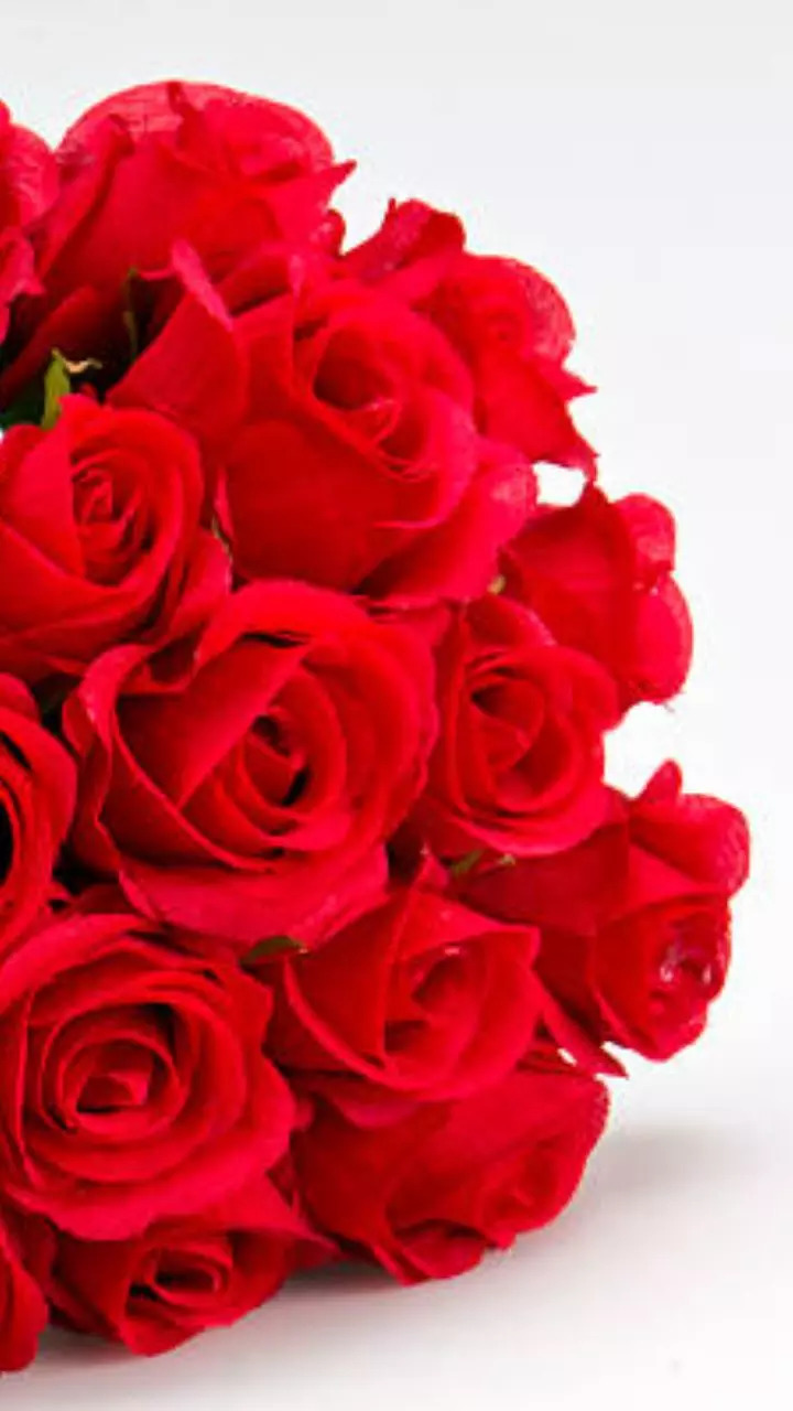 SCORPIO Love Horoscope for Rose Day 2023