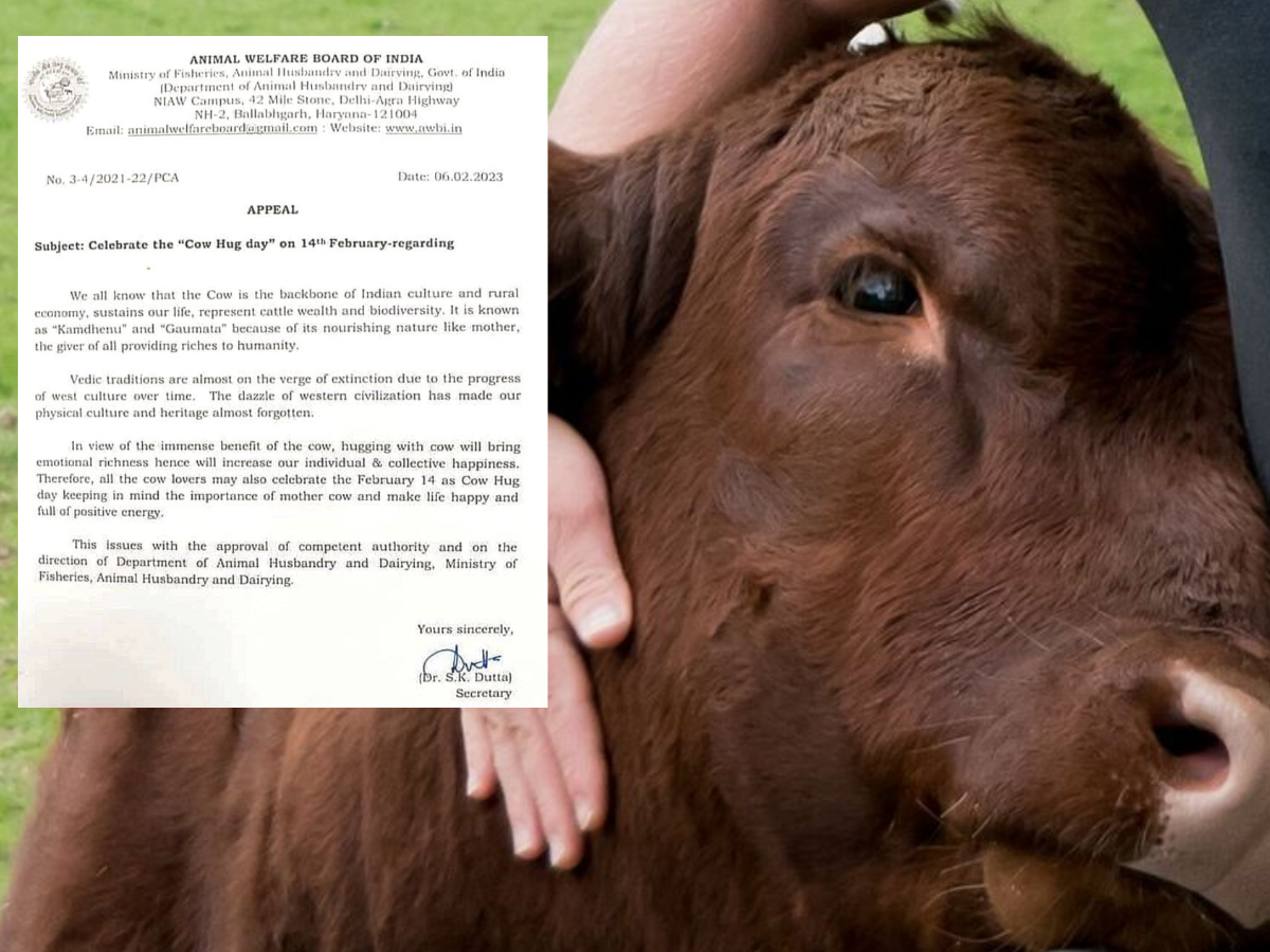 Feb 14 is not 'Cow Hug Day' anymore, Animal Welfare Board of India  withdraws V-Day appeal