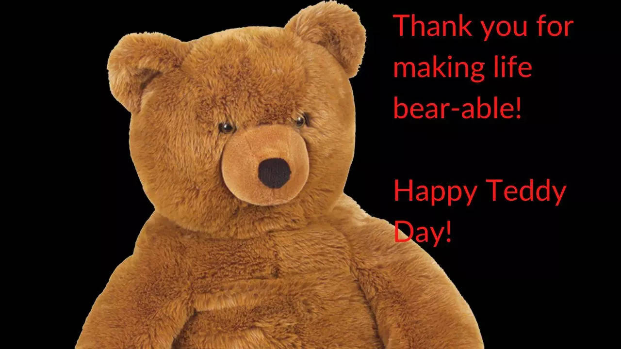 Happy Teddy Day 2023: Wishes, images, messages and quotes for ...
