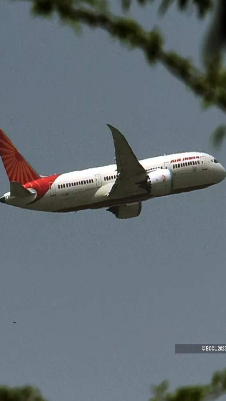 A much-needed image makeover for Air india