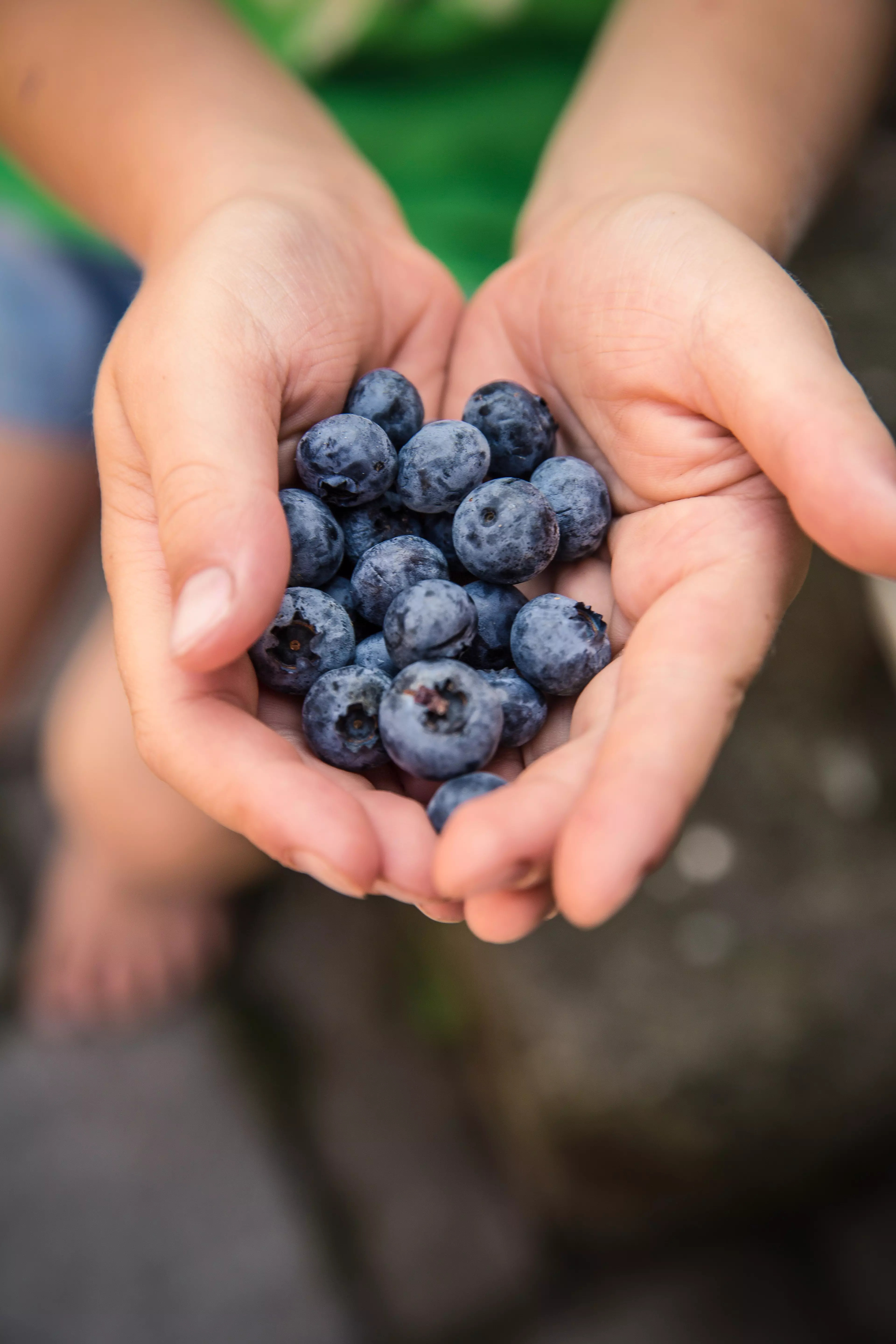 Berries