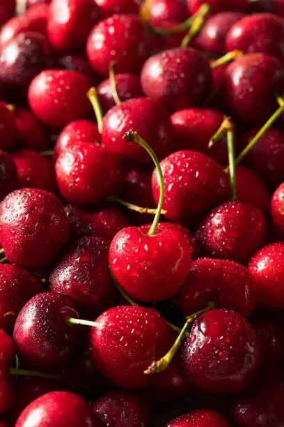 Tart cherries