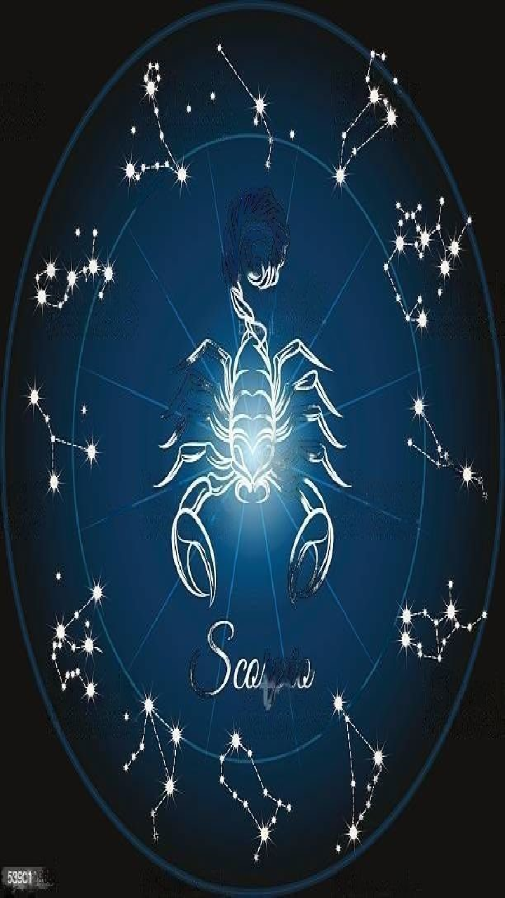 Scorpio Daily Horoscope Oct24  Nov 22 