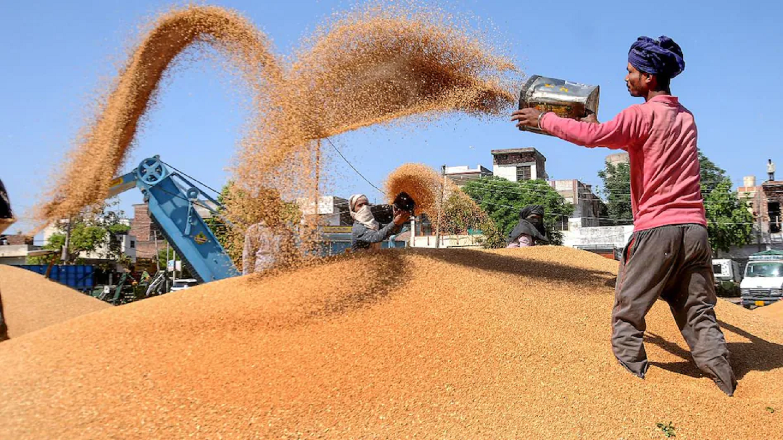 Food Corporation of India sells 5.07 lakh MT wheat in third e-auction -  Know the price, number of bidders | Economy News, Times Now