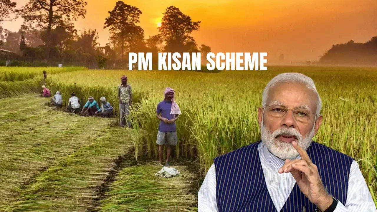 PM KISAN status check online for 2023 13th installment on pmkisan.gov.in -  Step-by-step guide | Personal Finance News, Times Now