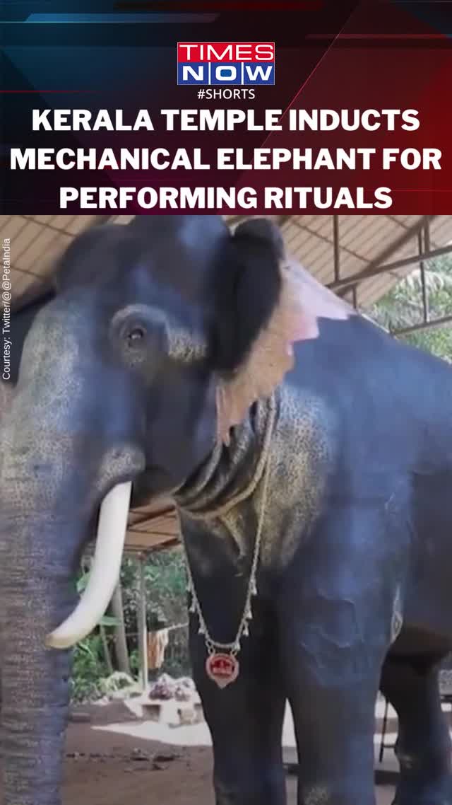 Kerala temple welcomes super-realistic robotic elephant for ritual duties -  VIDEO