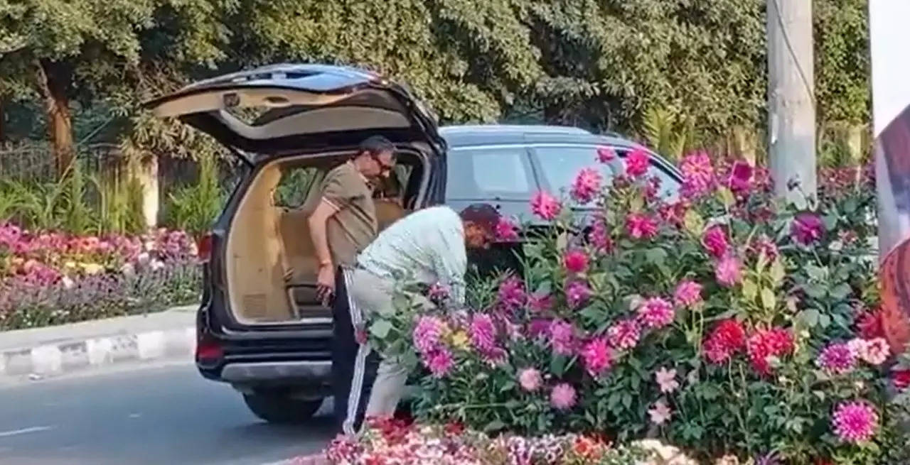 Gurugram man who was caught stealing flower pots in expensive car arrested