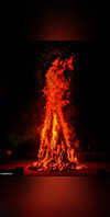 Holi 2023: Bhadra's Shadow Over Holi, Know The Auspicious Time And Date Of  Holika Dahan
