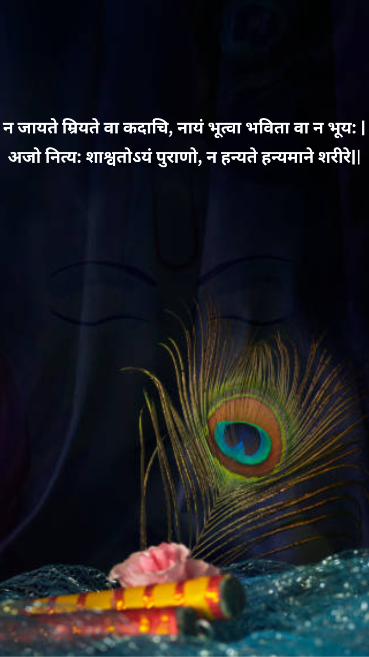 Bhagavad Gita quote in Hindi