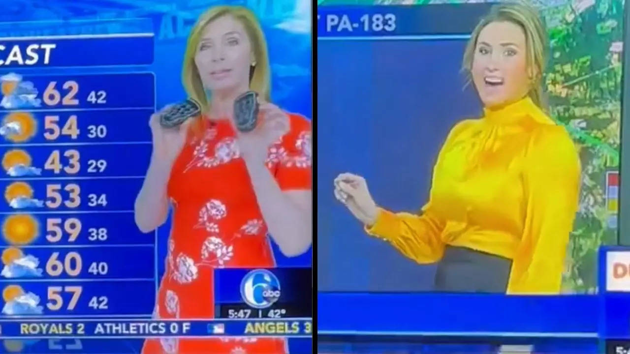 Watch: Karen Rogers' sex joke about ABC anchor during live St. Patrick's  Day weathercast | Viral News, Times Now