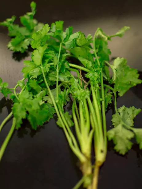 Parsley