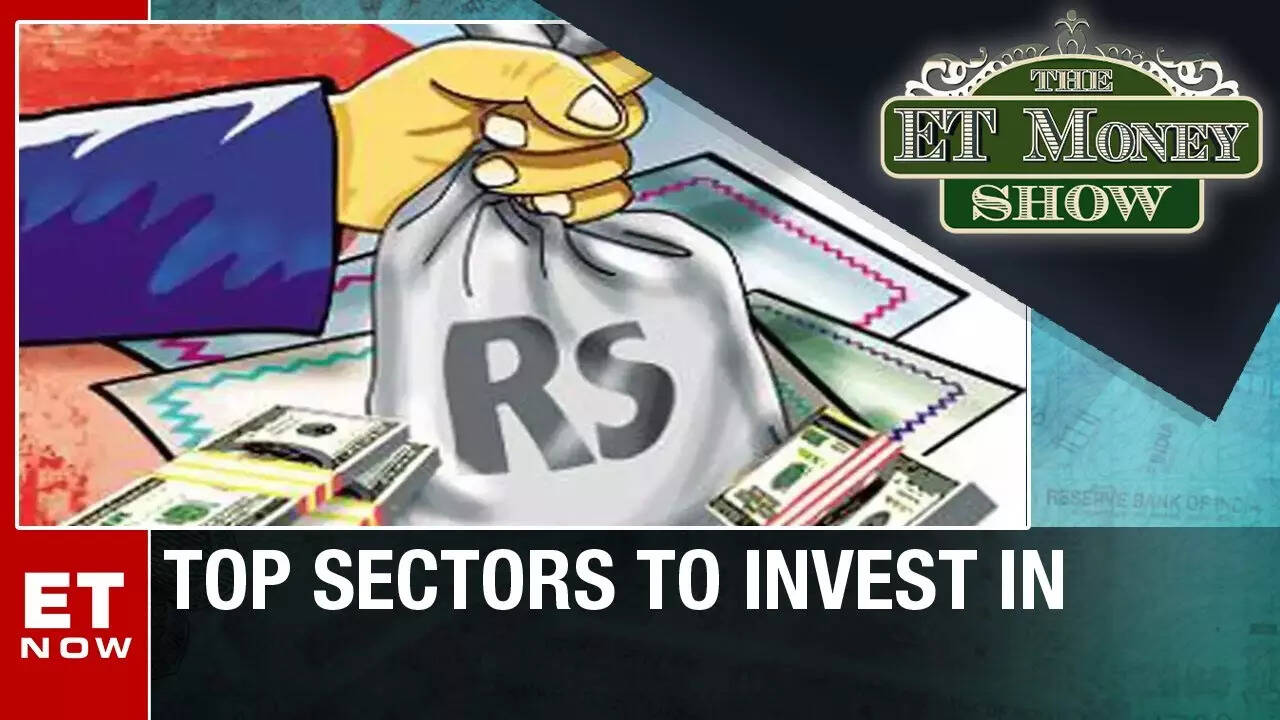 Top sector to invest in amid highly volatile market mood THE MONEY SHOW Personal Finance