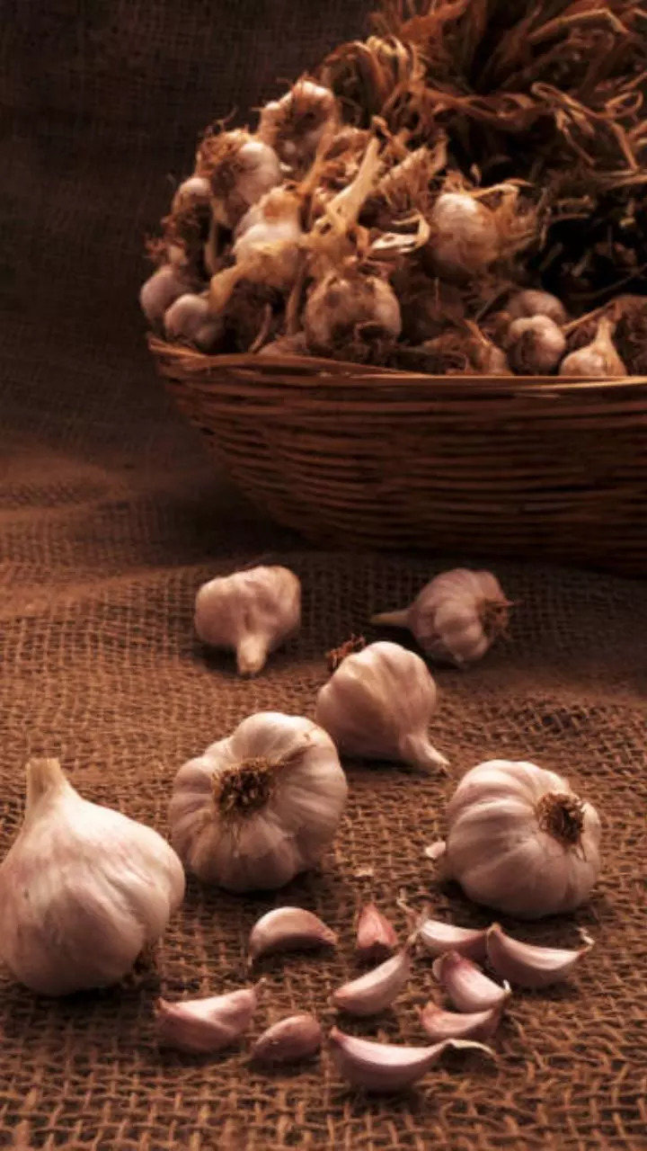 Garlic