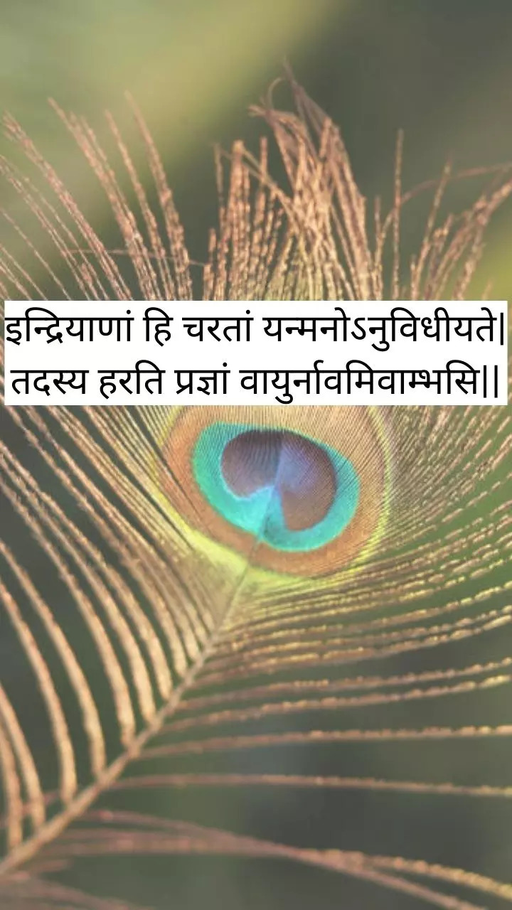 Bhagavad Gita quote in Sanskrit