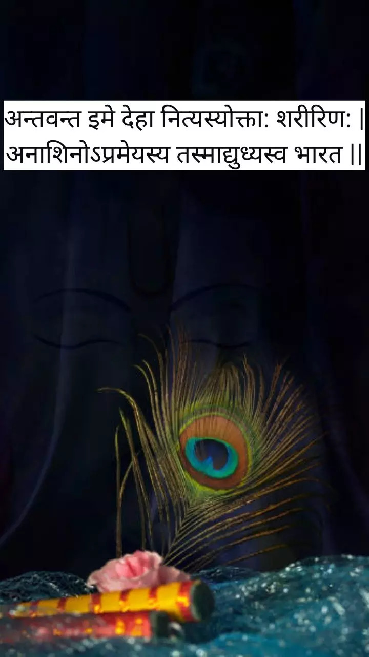 Bhagavad Gita quote in Sanskrit