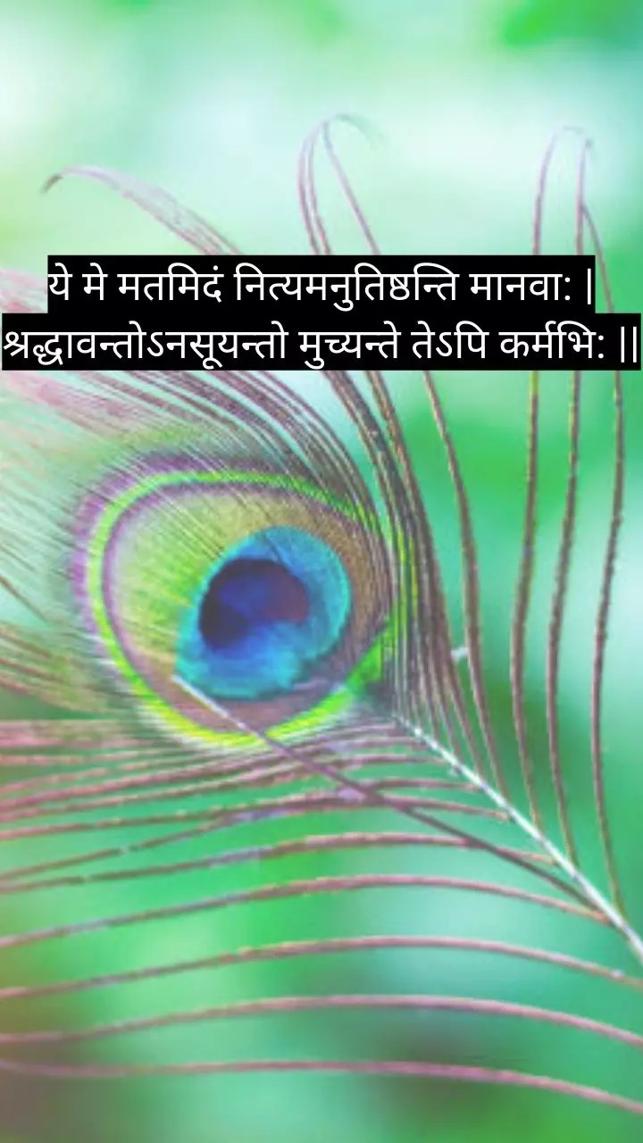 Bhagavad Gita quote in Sanskrit