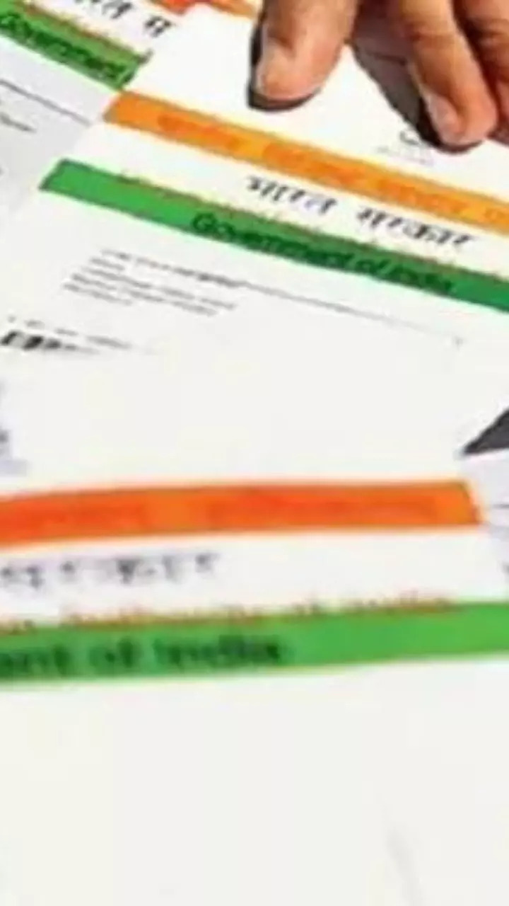 Details of your Aadhaar