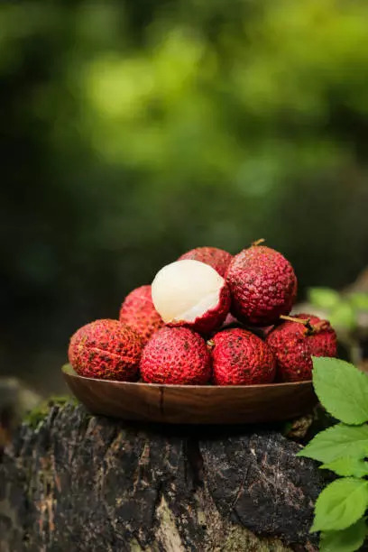 Lychee