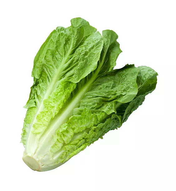 Lettuce