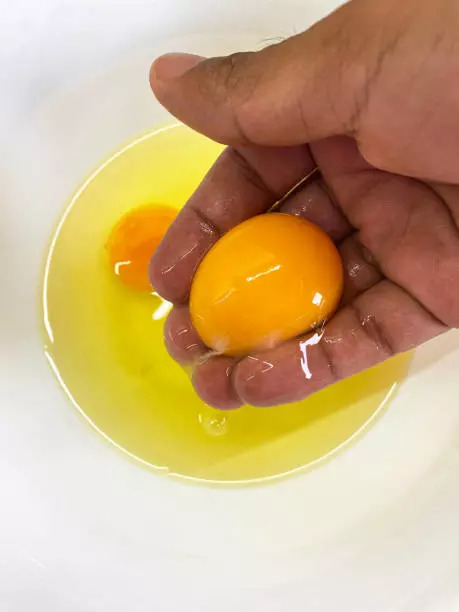 Egg yolk