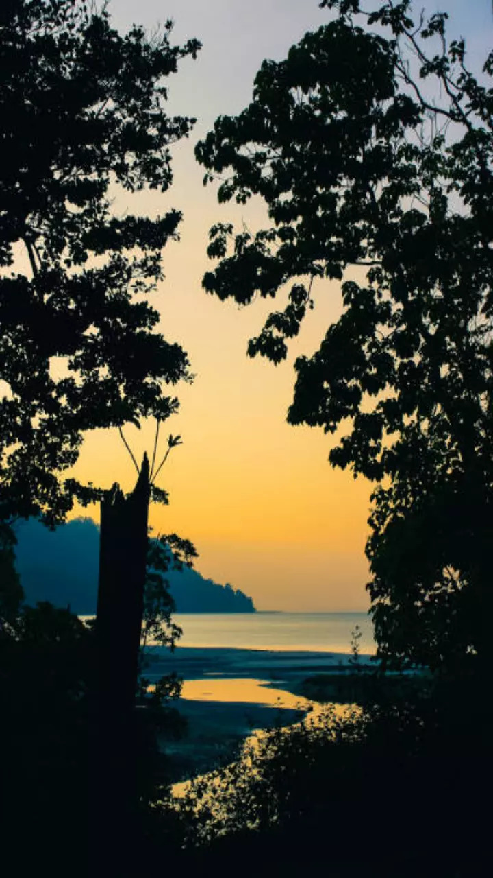 Radhanagar Beach Andaman  Nicobar Islands