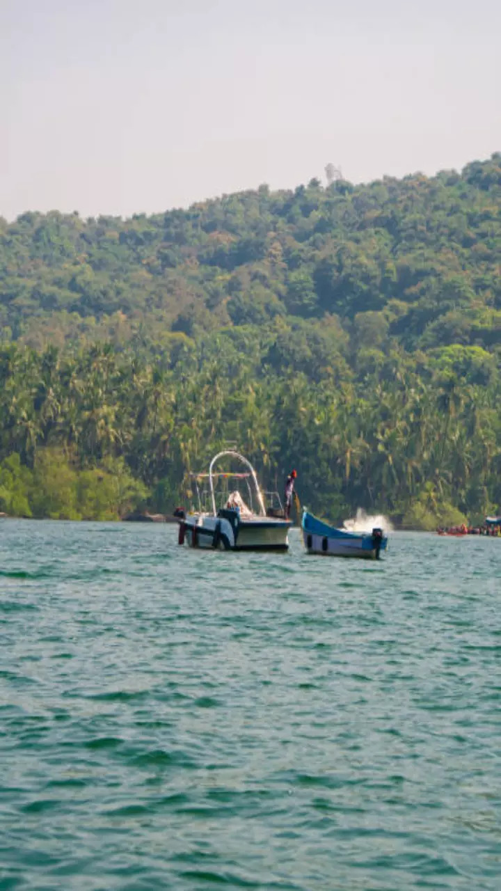 Tarkarli Beach Maharashtra