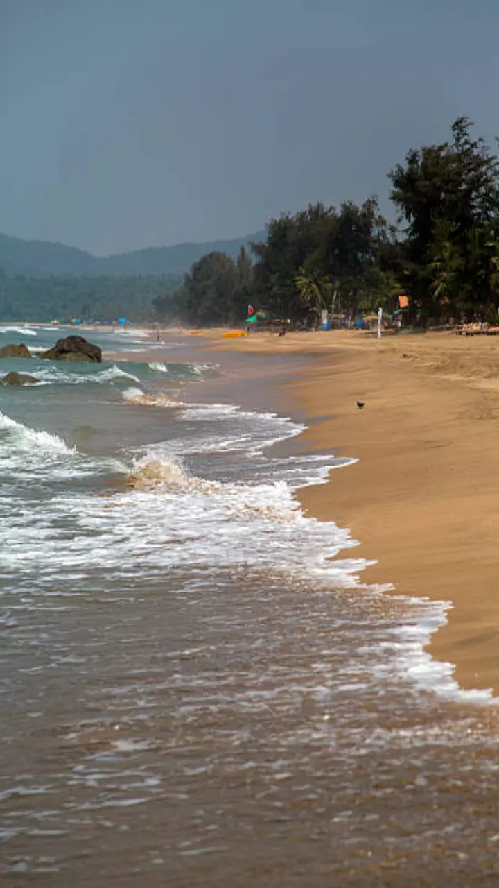 Butterfly Beach Goa