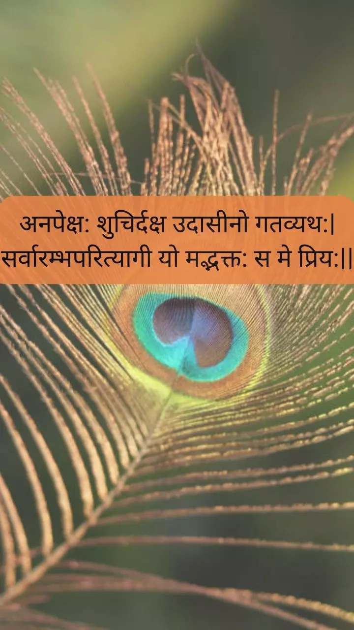 Todays Bhagavad Gita quote