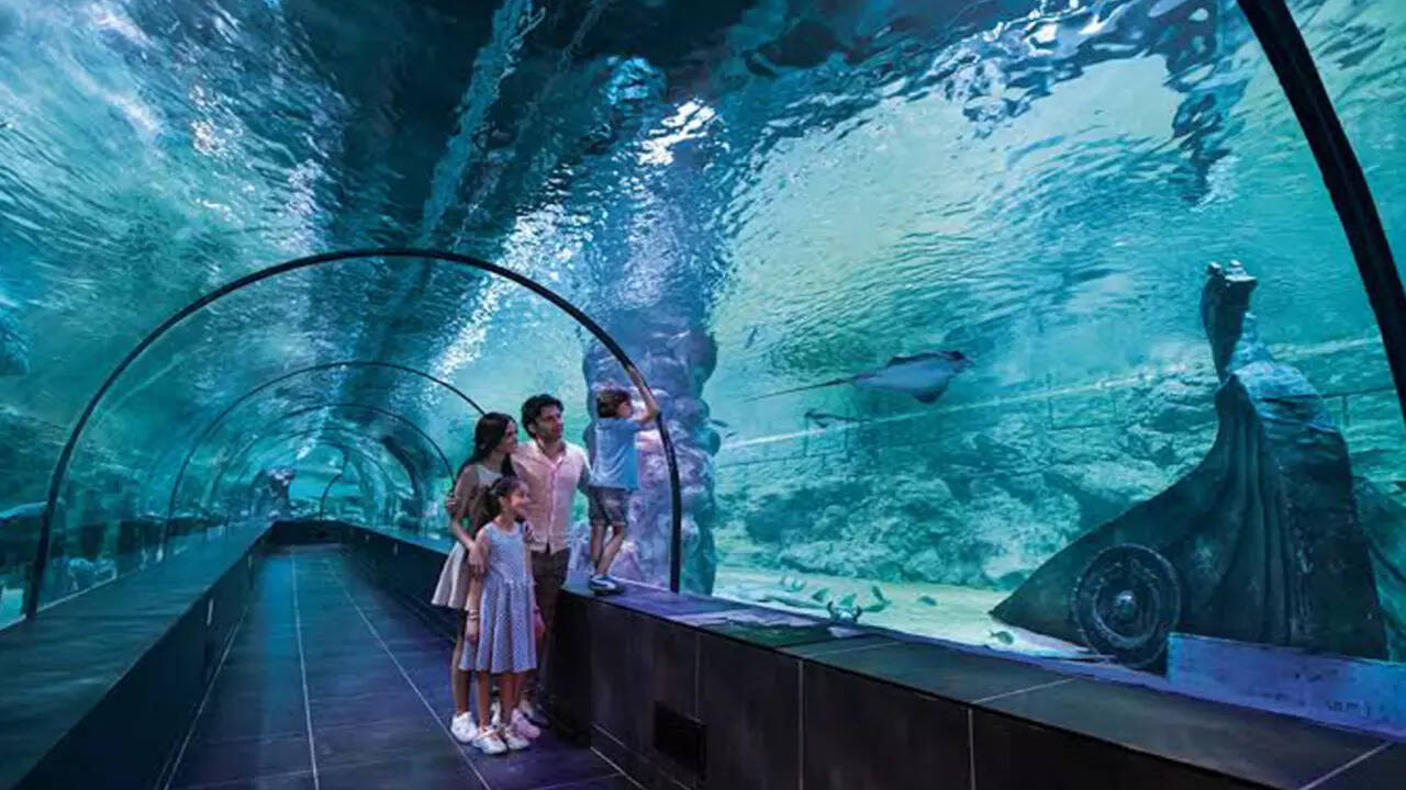 India’s Largest Aquarium and Aviary To Come up in Hyderabad, Its
