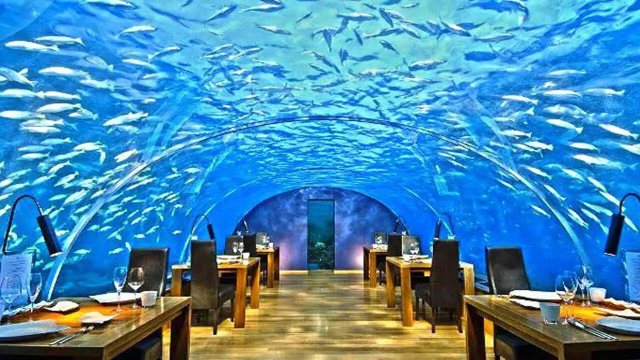 India’s Largest Aquarium and Aviary To Come up in Hyderabad, Its