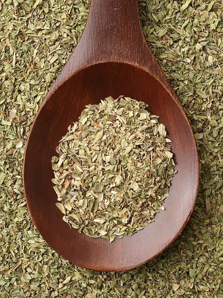 Oregano