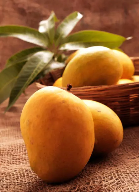 Mangoes