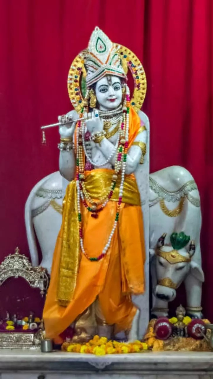 Shri Krishna Image