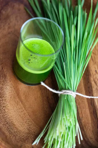 Wheatgrass