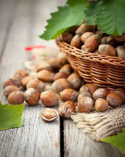 Hazelnuts