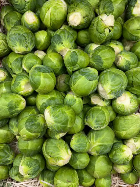 Brussels sprouts