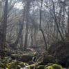 ​​History of Dachigam National Park​