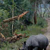 World Rhino Day: 8 National Parks In India Where You Can Spot Rhinos​